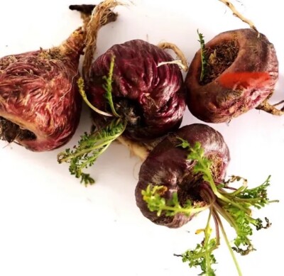 Red Maca Capsules (60)