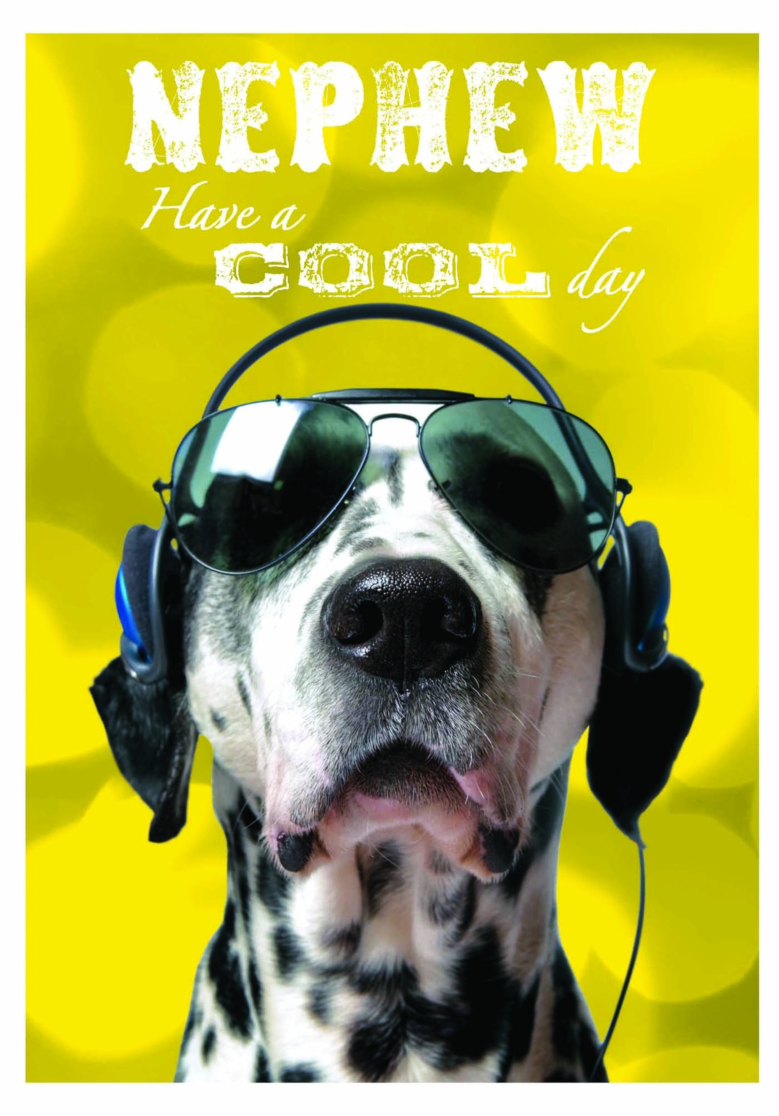 Nephew Sunglasses Dalmatian Birthday Card - Have a Cool Day Greeting Cards