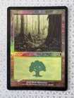 Magic the Gathering Forest (#348) - Foil Odyssey MTG MP
