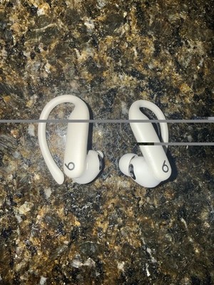 Beats by Dr. Dre Powerbeats Pro Bluetooth Wireless Ear-Hook Earbuds White