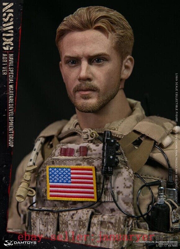 1/6 scale DAMTOYS: Navy Seal/ Naval Special Warfare Group