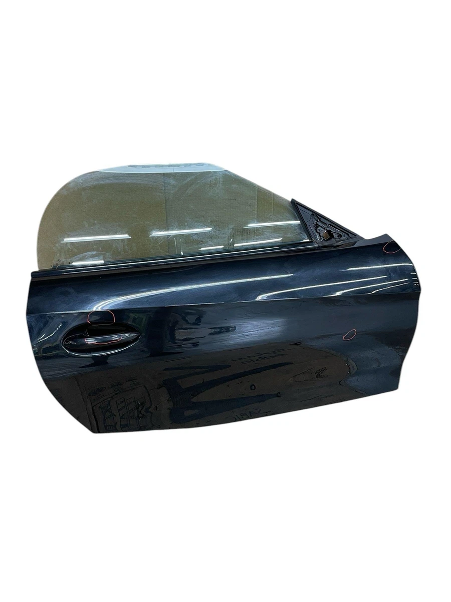 BLIC Handgreep, interieur voor o.a. Bmw - 8800-00-1853201PP