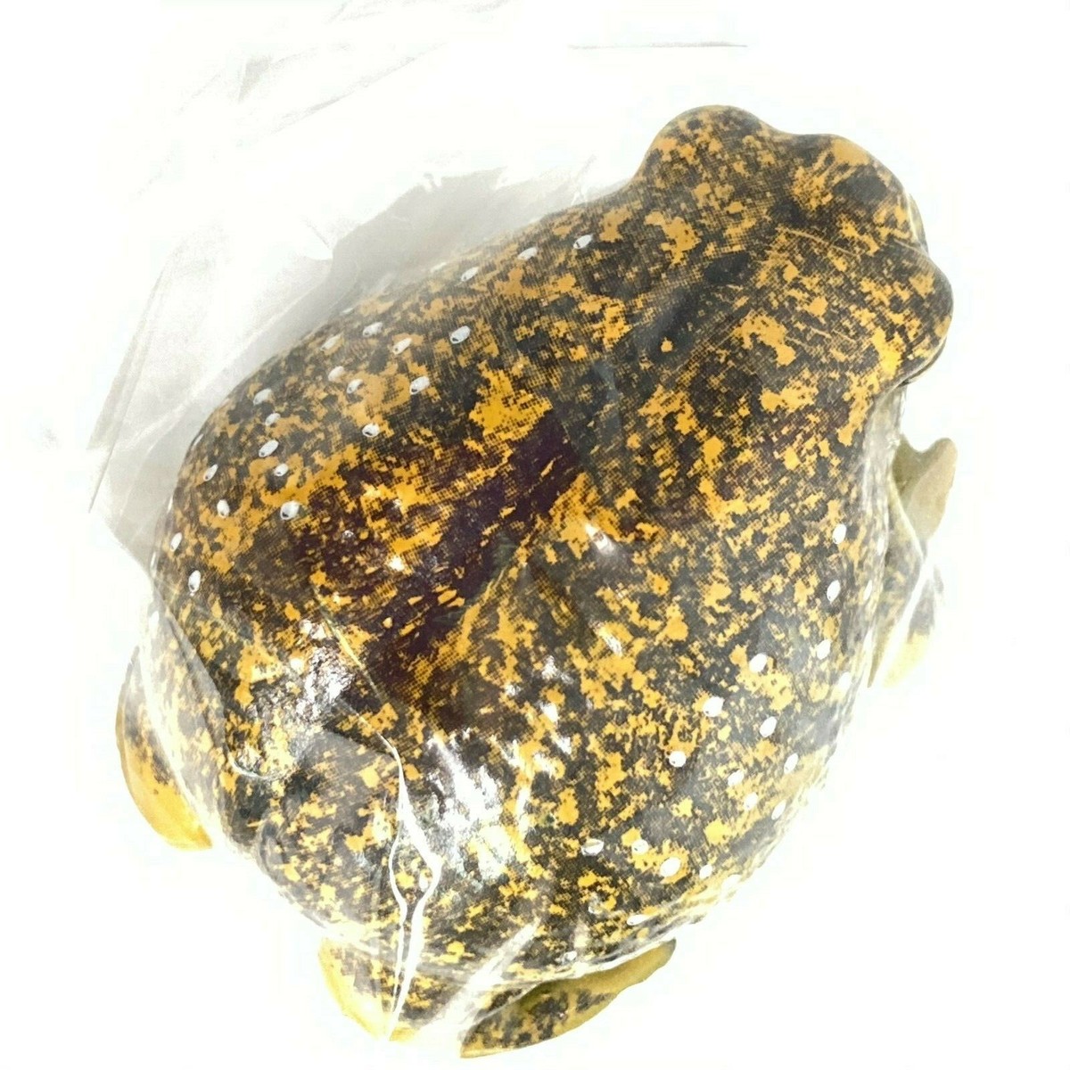 Bushveld Rain Frog Breviceps adspersus Mascot Soft Figure E Toys