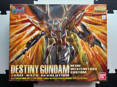 Gunpla EXPO limited MG 1/100 Heine's Destiny Gundam Used F/S