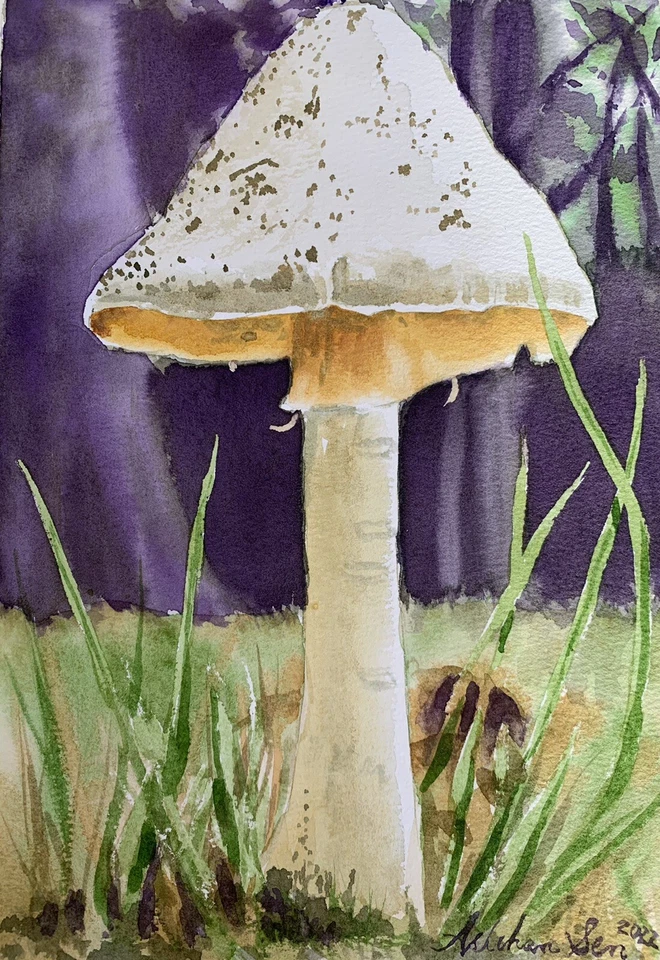 Original acuarela pintura de setas cottagecore decoración de pared bosque arte naturaleza Foto 2 de 4