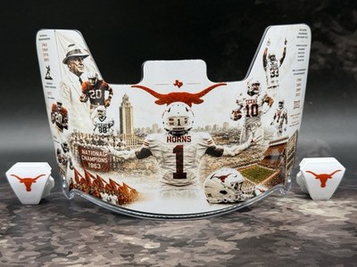 Full Size Helmet Visor - Custom_TLH_1