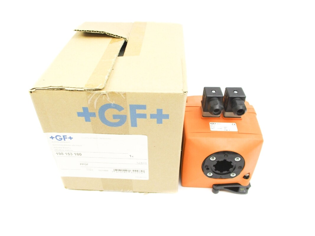 gf-signet-198153180-nsmp-ebay