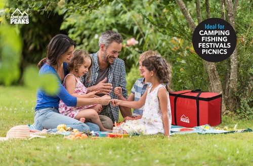 Cooler Bag Insulated Box Extra Large Picnic Hot Lunch Camping Food Drinks 30/60L - Picture 21 of 46