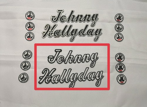 2 Aufnäher / Aufnäher JOHNNY HALLYDAY großes Modell JOTT Anorak Daunenjacke - Bild 2 von 7