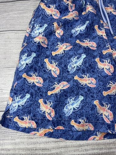 PETER MILLAR Blue Lobster Swim Trunk Boys Sz Large 11/12 Lined Surf Beach Youth - Picture 6 of 20