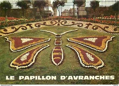 Postcard - 50 - Avranches - Le Jardin des Plants - Le papillon d'Avranches