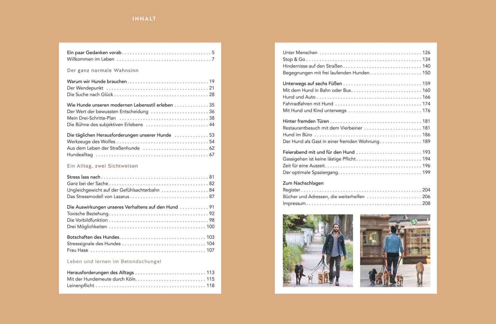 Thumbnail - Stadt-wölfe Masih Samin