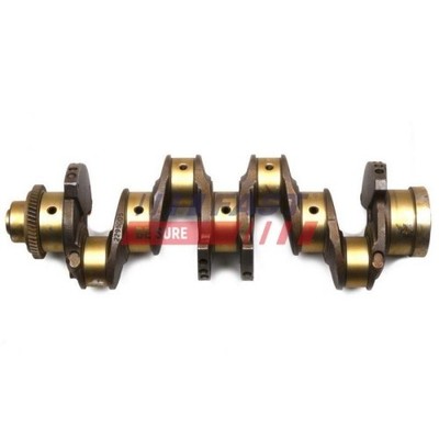Kurbelwelle Fast FT51759 für Fiat Iveco