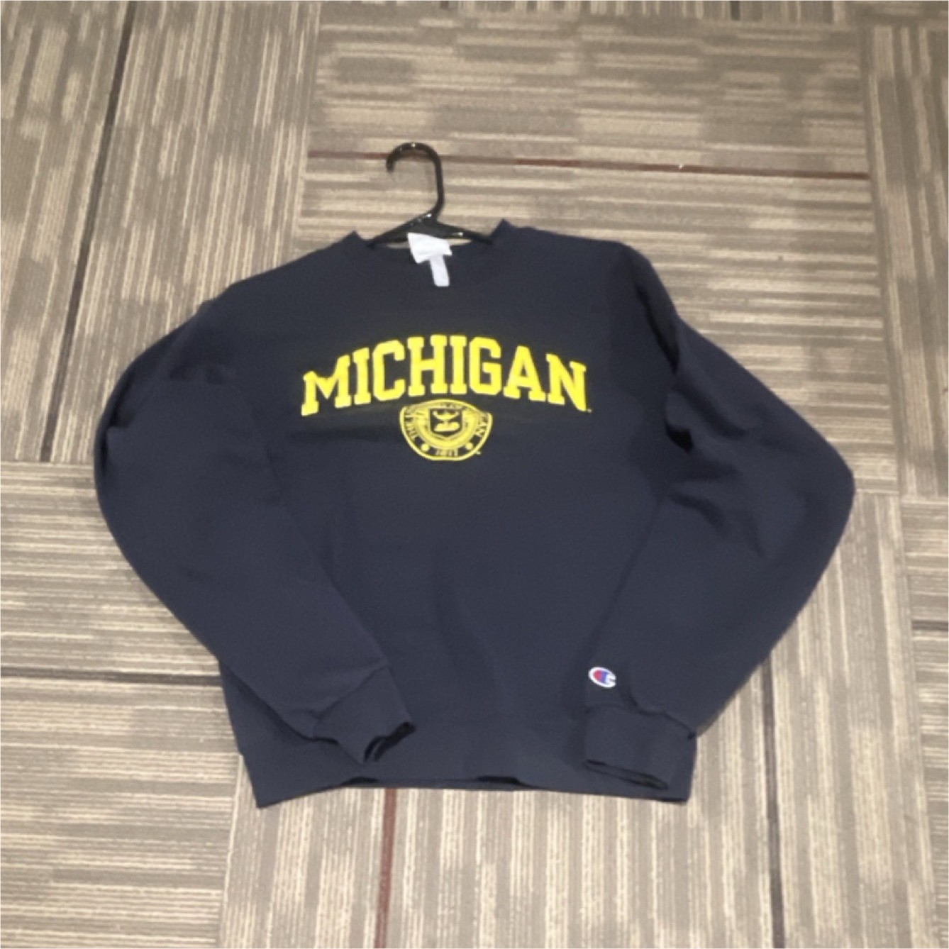Vintage Champion Eco Fleece Michigan Graphic Sweatshirt Men