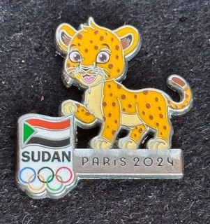 Rare Paris 2024 Summer Olympics Eswatini NOC Pin