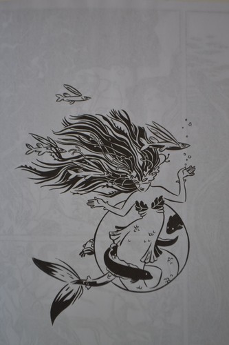 Avis Dolphin Uncorrected Proof illustrated oversize paper cover Frieda Wishinsky - 第 3/3 張圖片
