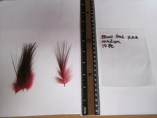 DIB 10 pc AAA Heron Feathers - Plumes 3.5 to 4.5 inches long Super Blood Red.