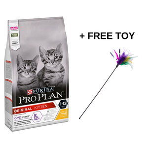 purina pro kitten