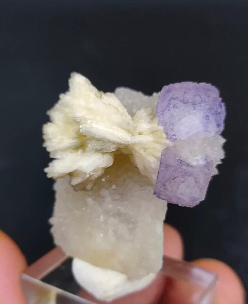 Natural Symbiotic Celestite and Purple Fluorite Specimen