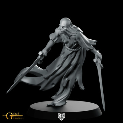 Specter 04 Miniature Wraith Assassin Dual Daggers