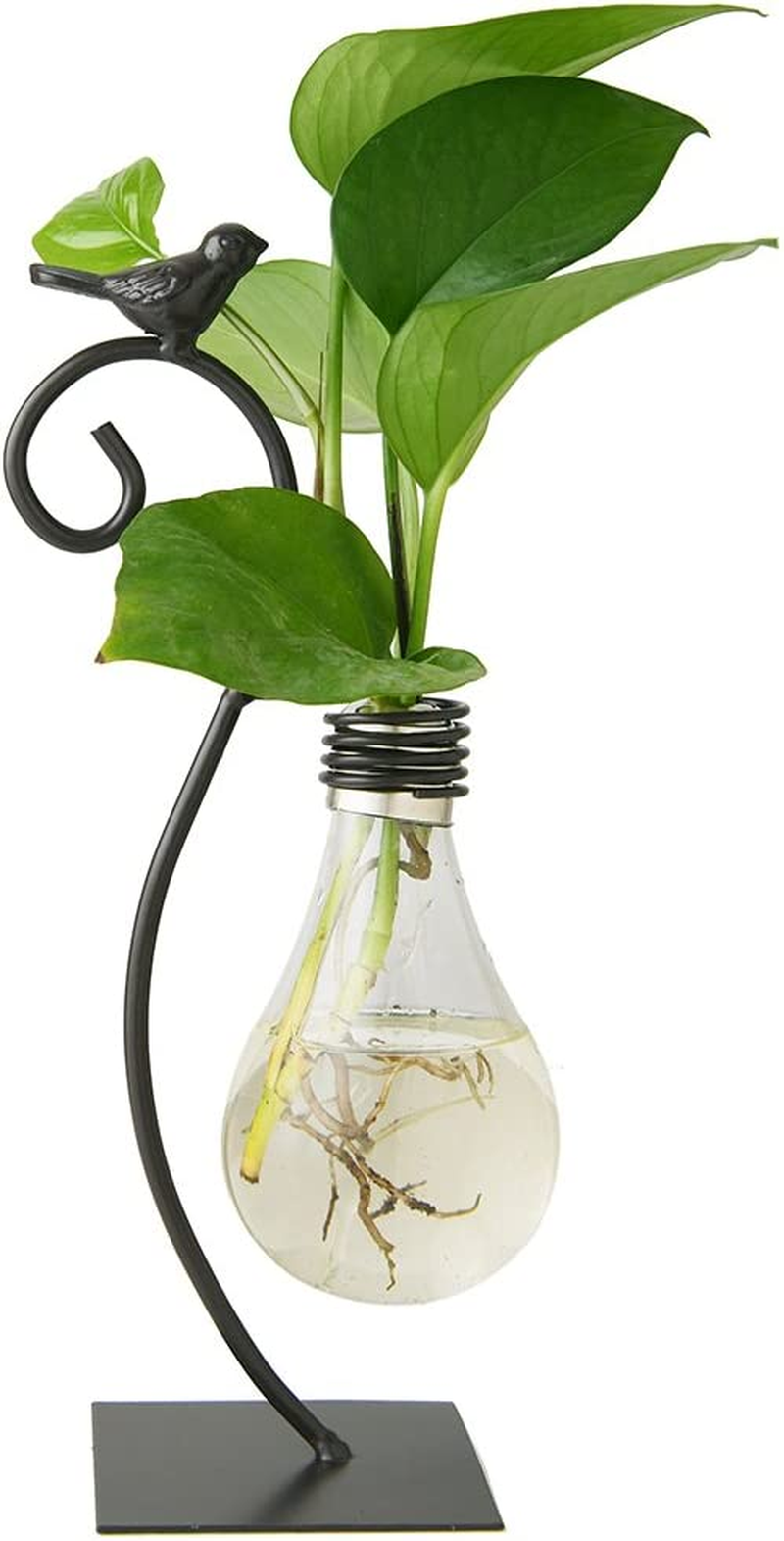 Desktop Glass Planter Hydroponics Vase,Planter Bulb Vase with Holder for Home De