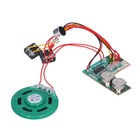 10s Sound Recording Modul DIY Musik Sound Talk Recordable Chip Mit Lautsprech EU