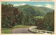 Vintage Postcard 1941 Mary's Rock Shenandoah National Park VA Virginia