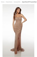 Alyce Paris 61717 Crystal Mesh Strapless Long Nude Formal Gown Size 00