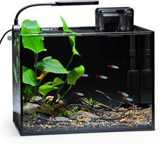 2.5 Gallon Nano Aquarium Kit Rimless Desktop Fish Tank with Light Filter Gravel