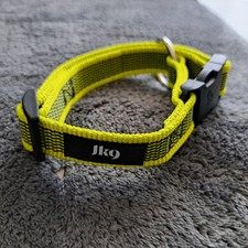 julius k9 Halsband und AniOne Leine