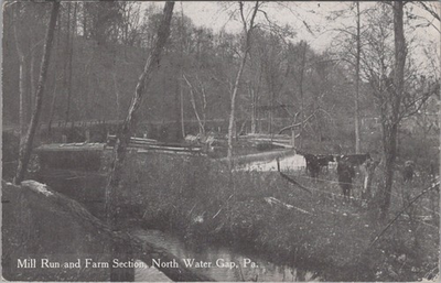 #ad Mill Run Farm Section North Water Gap PA 1912 Cows Stream Rural Postcard $19.95