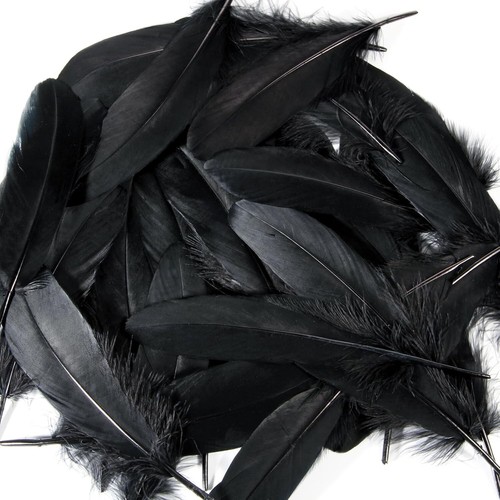 THARAHT 120 pièces plumes d'oie noires en vrac naturel 6-8 pouces 15-20 cm pour artisanat bricolage - Photo 3 sur 6