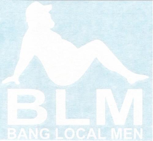 Bang Local Men - Funny Humorous Trucker BLM Car Vinyl Decal Window Sticker 02221 - Picture 2 of 2