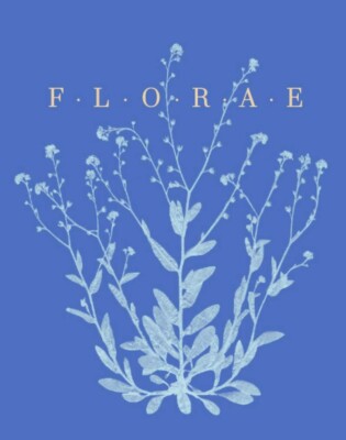 Florae, le temps des flowers - Französische VersionKollektiv