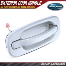 Front Right Painted 926L Silver Birch Door Ha...