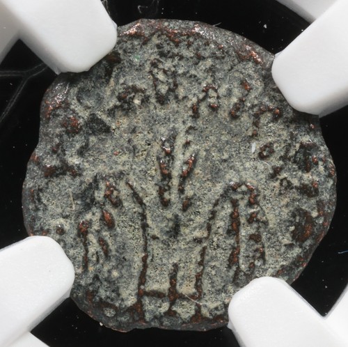 Pontius Pilate Under Tiberius AE Prutah Governors Of Judaea 26-36 AD NGC Genuine