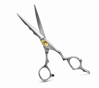 Haarschneideschere SILBER Schere Friseursalon Friseur Profi 6,5''