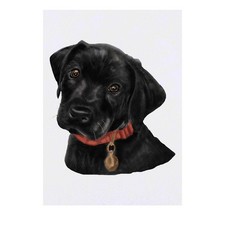 'Labrador Puppy' Temporary Tattoos / Transfers TO00049220 