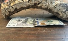 Terrarium Natural Cork Bark 2-4  W x 9  L  1-3/4  thick 1/2 lb. USA