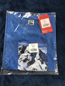 supreme x tnf mountain tee
