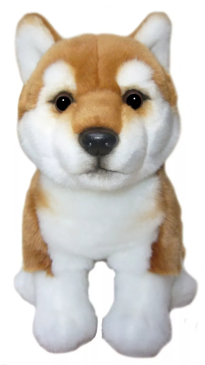 Shiba toy 2025