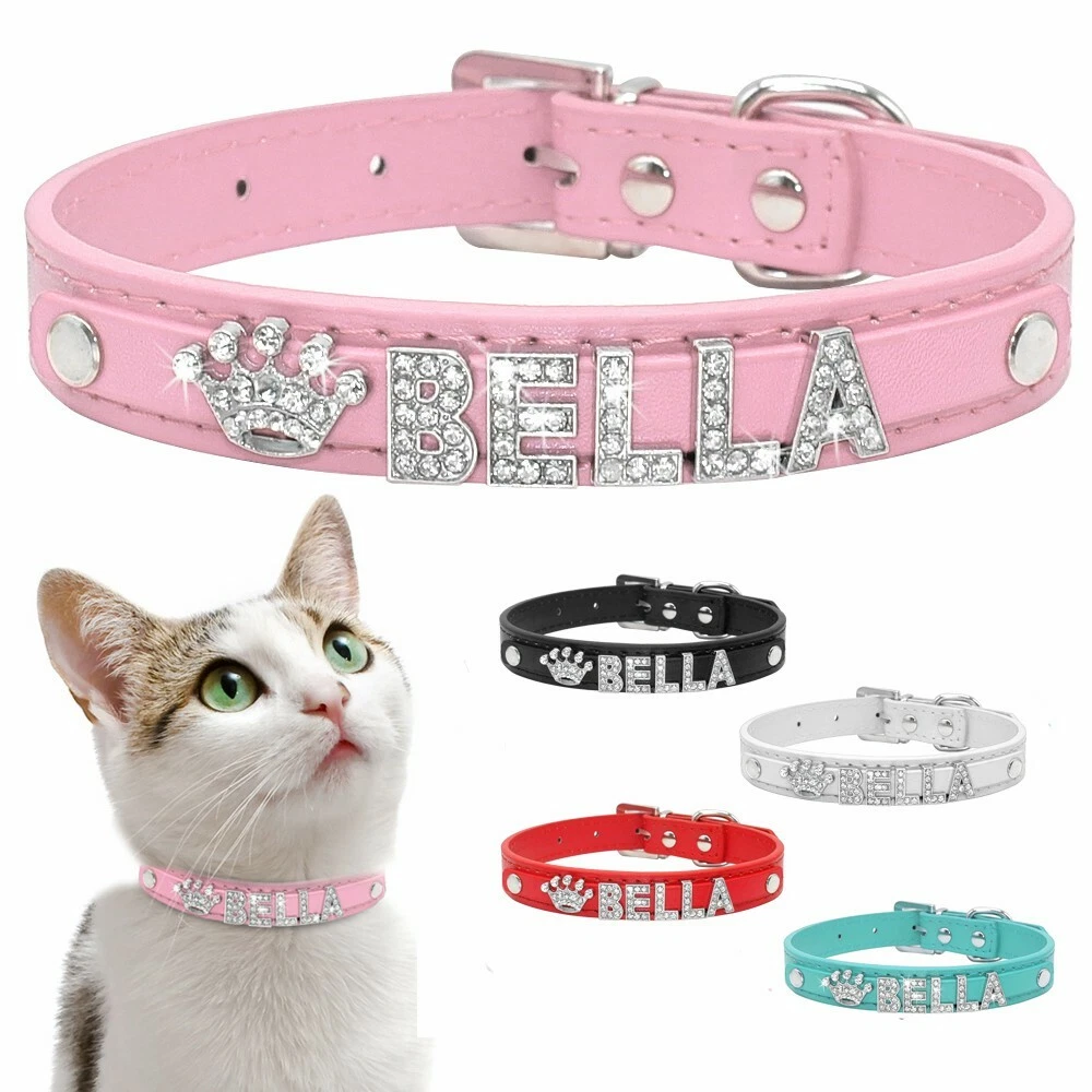 Name brand best sale cat collars