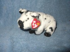 VINTAGE TY Beanie Baby STUBBY Black & White Pig 6.5" BRAND  NEW MWMTs