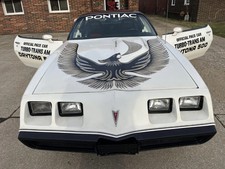 1981 Pontiac Firebird for Sale