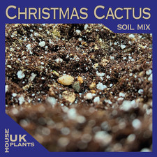 SANSEVIERIA Soil Mix (Pest-Free Repotting Compost Mother Law Tongue, Snake Plant