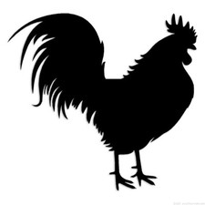 Rooster Chicken Poultry - Decal Sticker - Multiple Colors  Sizes - ebn6093