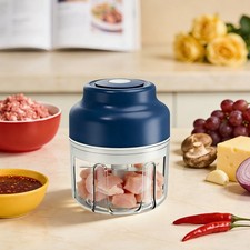 Elektrischer Knoblauch brecher, Wiederauf ladbare Knoblauch Presse, Blau