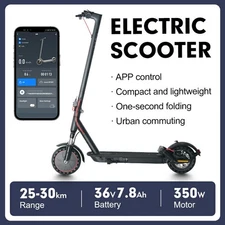 350W Power E-Scooter w/ Dual Shocks - Best Adult Birthday & Christmas Surprise!