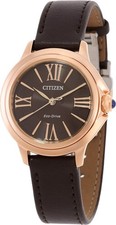 Citizen EM1163-09X Watch – No Import Fees – FedEx Shipping