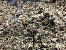 red raspberry herb leaf organic bulk tea leaves botanicals - 12 oz size
